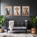 Suche nach dschungeltiere und Elefant