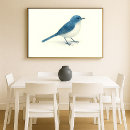 Suche nach niedliche vögel poster Blaue vogel