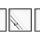 Suche nach crow poster Vogelbeobachtung