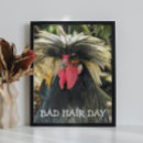 Suche nach lustiger hahn poster Für alle