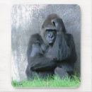 Suche nach gorillas mousepads Primat