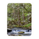 Suche nach tennessee magnete Wald