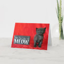Suche nach meow karten Kätzchen