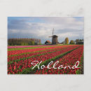 Suche nach rote tulpe postkarten Blume