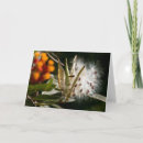 Suche nach sam karten Rot