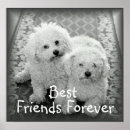 Suche nach best friends forever poster Ewig