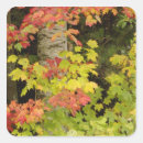Suche nach birken aufkleber Blatt