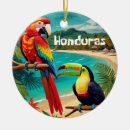 Suche nach ara ornamente Schule