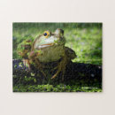 Suche nach niedlicher frosch puzzle Amphibisch