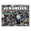 Suche nach muscheln kalender Für alle