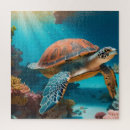 Suche nach turtle puzzle Tropisch