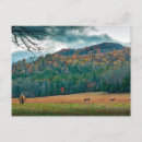 Suche nach elch postkarten Landschaft