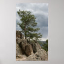 Suche nach gewitter poster Sturm