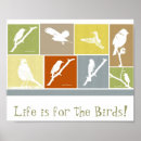 Suche nach vogelplakat poster Vögel