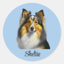 Suche nach sheltie aufkleber Haustier