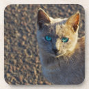 Suche nach blaue katze untersetzer Grau
