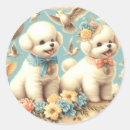 Suche nach bichons aufkleber Bichon frisé