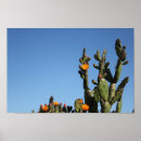 Suche nach wüstenkaktus poster Blume