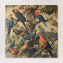Suche nach papageien puzzle Dschungel