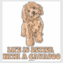 Suche nach cavapoo aufkleber Tier