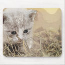 Suche nach niedliche katze mousepads Haustier