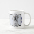 Suche nach bichons tassen Welpe
