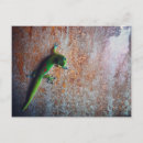 Suche nach gecko postkarten Tropisch