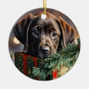 Suche nach schokoladen labrador ornamente Urlaub