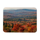 Suche nach wald magnete New hampshire
