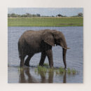 Suche nach elefant puzzle Tiere