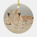 Suche nach welsh terrier ornamente Haustiere