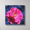 Suche nach rosa rosen leinwandbilder Mutter