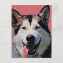 Suche nach malamute postkarten Schlittenhund