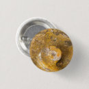 Suche nach geologie buttons Fossilien