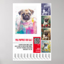 Suche nach möpse poster Hunde