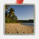 Suche nach seychellen ornamente Küste