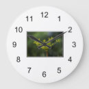 Suche nach unkräuter wanduhren Pflanze