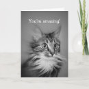Suche nach necken sie karten Schwarz weiß
