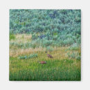 Suche nach grünes gras magnete Landschaft