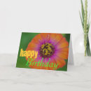 Suche nach zinnia Orange