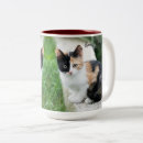 Suche nach phantome tassen Katze