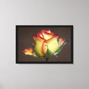 Suche nach rote rose leinwandbilder Paar