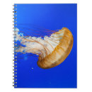 Suche nach quallen kleine notizbücher Natur