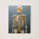 Suche nach menschliches skelett puzzle Knochen