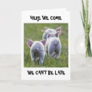 Suche nach lustiges schwein karten Für kinder