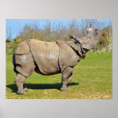 Suche nach nashorn poster Gefährdet