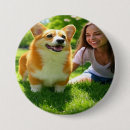 Suche nach begleiter buttons Hund