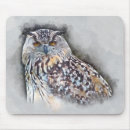 Suche nach adlereule Aquarell
