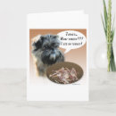 Suche nach aß karten Hund