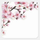 Suche nach sakura aufkleber Kirschblüte in japan